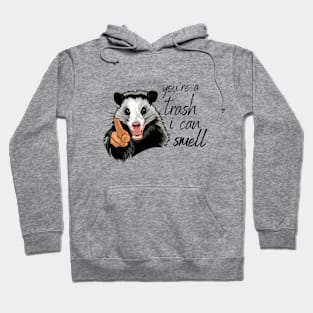 You are a Trash I can smell Sarcasm Hoodie